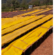 Éthiopie west arsi - 250 g - 30€/kg