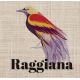 Papouasie Raggiana - 250 g - 27,20€/kg